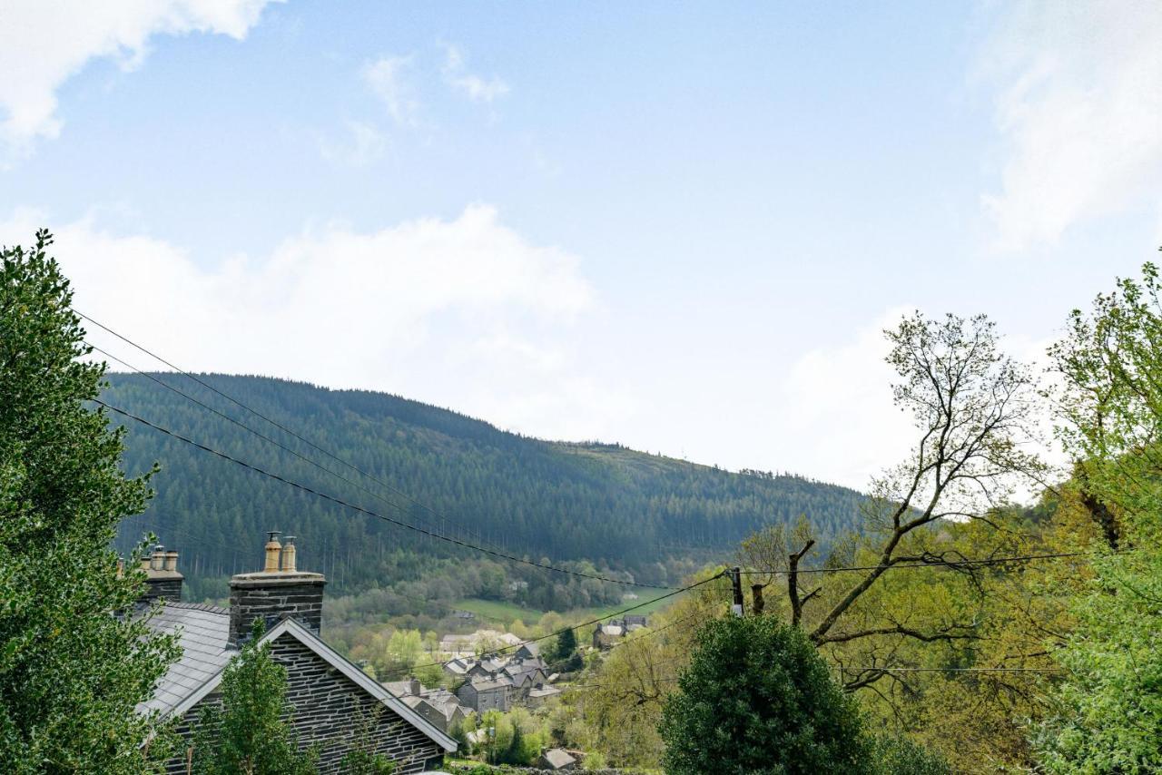 Ferienwohnung 2 Isygraig Corris Exterior foto